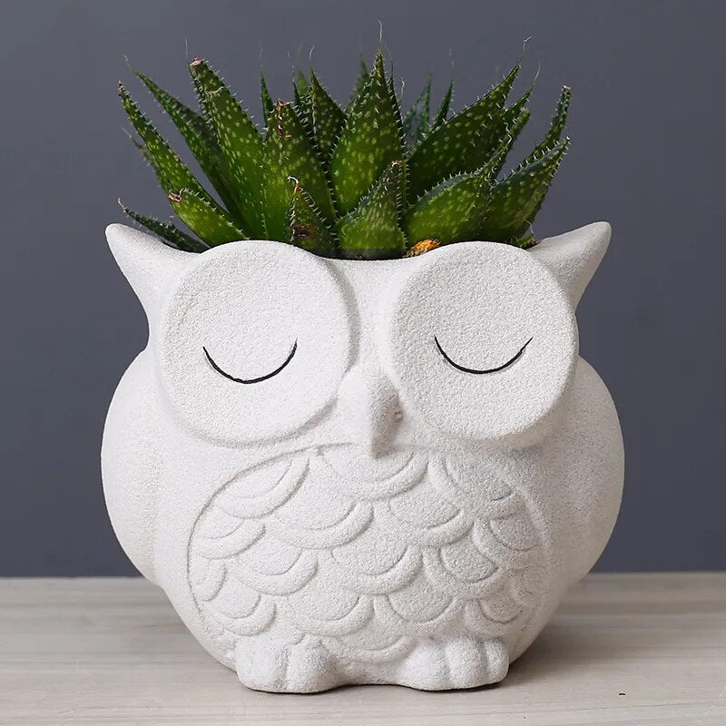 Cute Owl Flower Pot Ceramic Planter