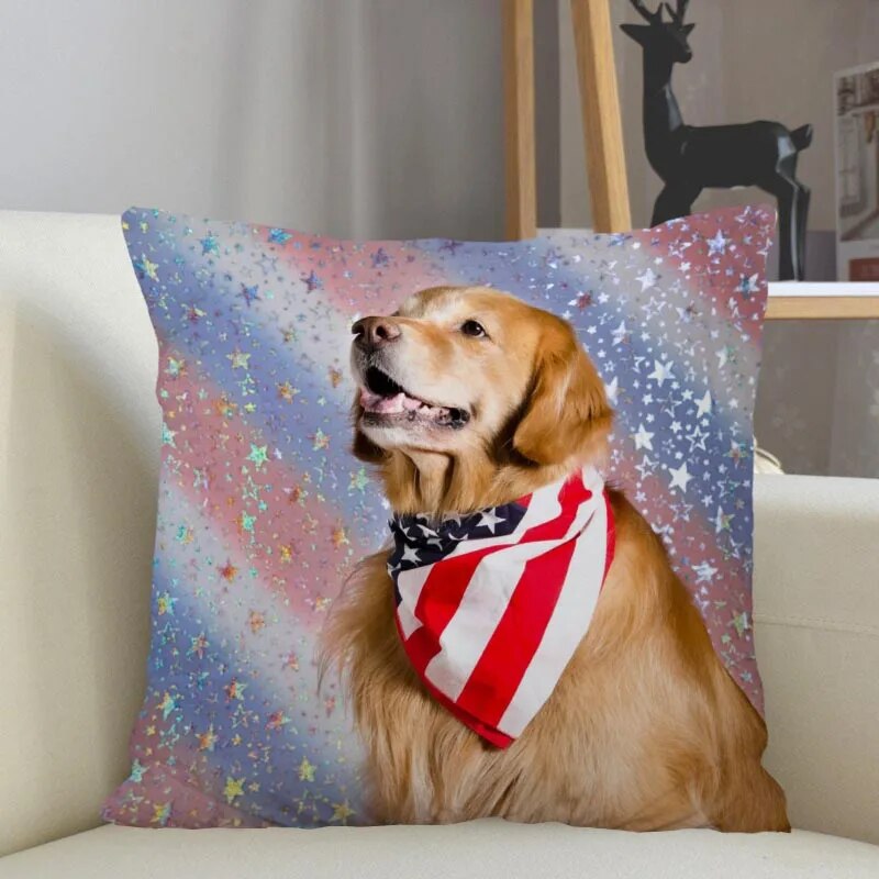 41641764421764|41641764454532|41641764487300