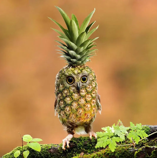 Owl Variations Pineapple Resin Statue