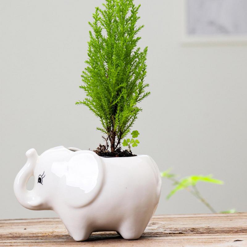 Flower Pot Elephant Mini Ceramic