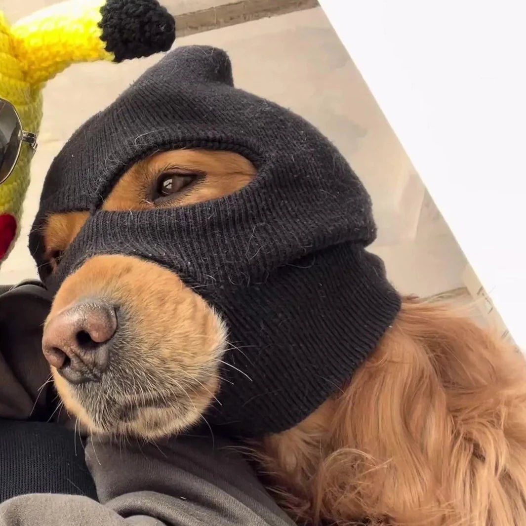Dog Costumes Funny Robber Cosplay
