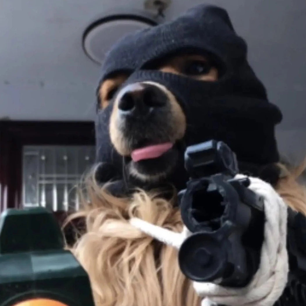 Dog Costumes Funny Robber Cosplay