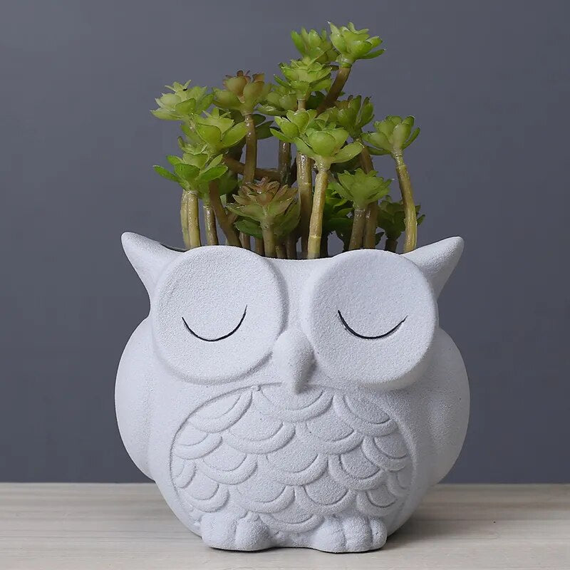 Cute Owl Flower Pot Ceramic Planter
