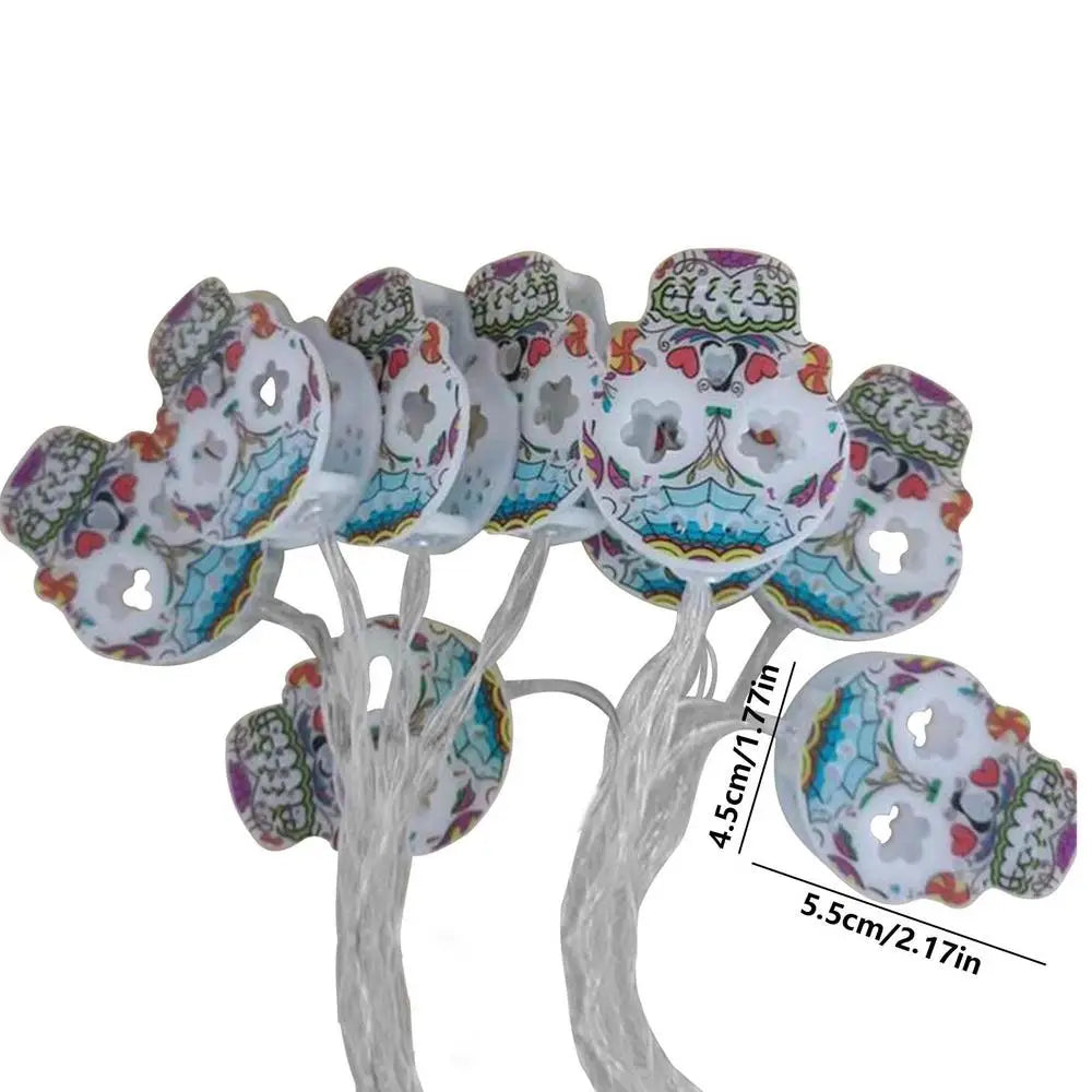 41669876580484|41669876646020|41669876711556