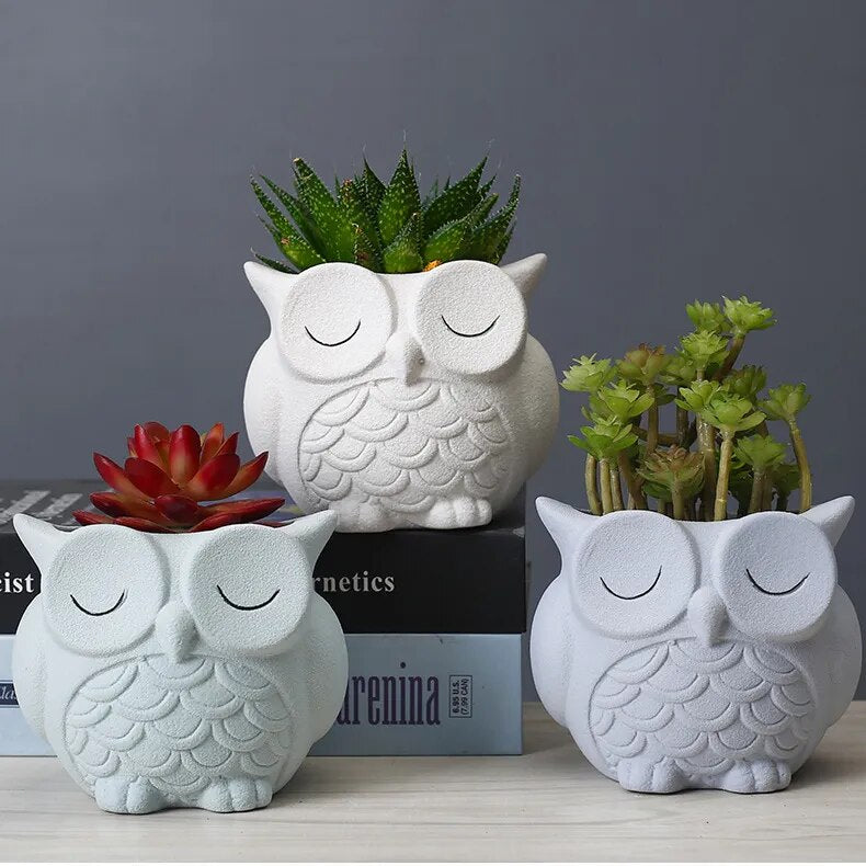 Cute Owl Flower Pot Ceramic Planter