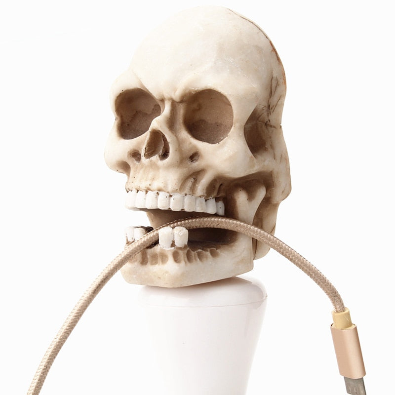 Skull Sculpture Key Storage Hook up Wall