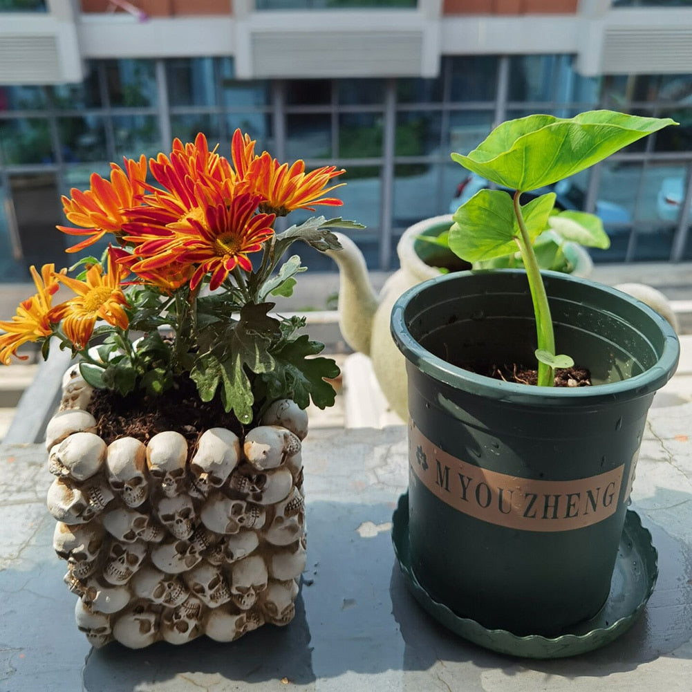 3D Skull Head Storage Box Makeup Pen Holder Stationery Container