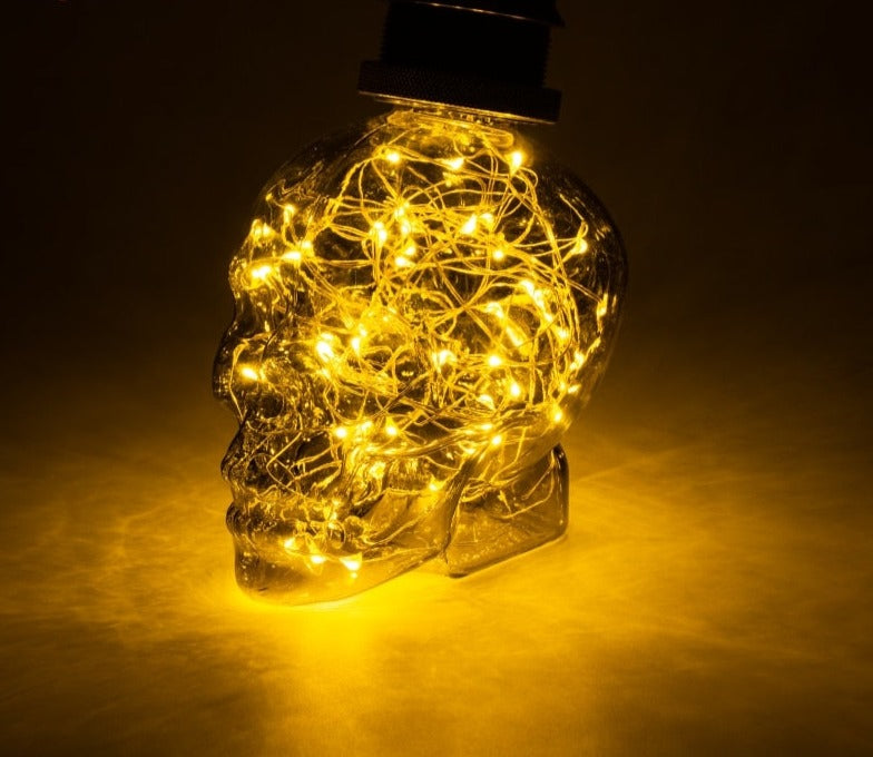 String Light RGB Skull LED Lamp Bulbs