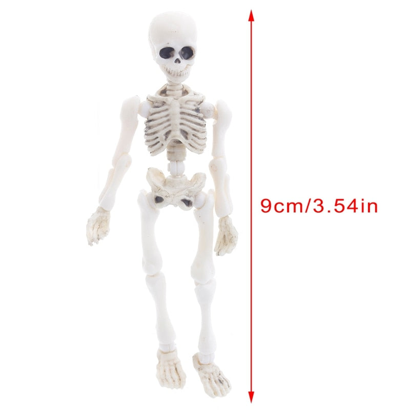 1pc Movable Skull Skeleton