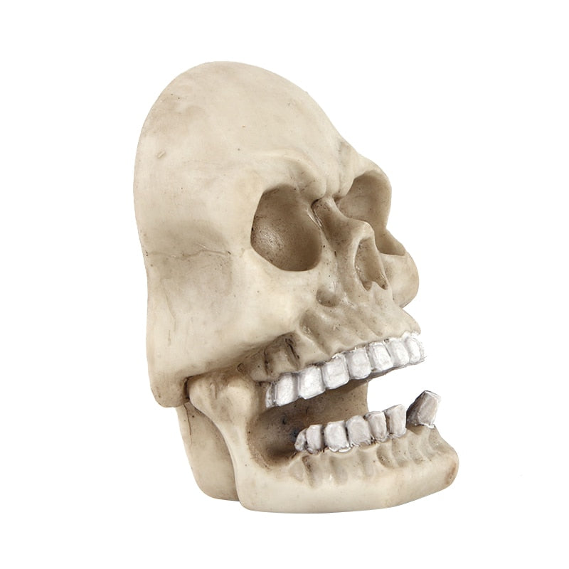 Skull Sculpture Key Storage Hook up Wall