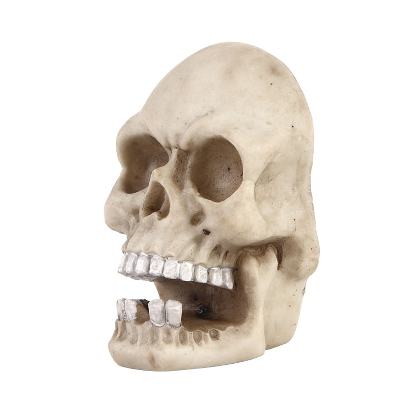 Skull Sculpture Key Storage Hook up Wall