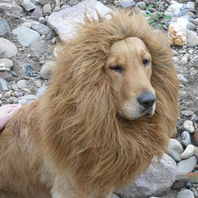 Dog Costume Hat Lion Funny Hilarious Pet Cosplay