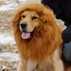 Dog Costume Hat Lion Funny Hilarious Pet Cosplay