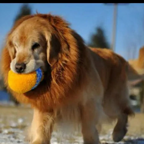 Dog Costume Hat Lion Funny Hilarious Pet Cosplay