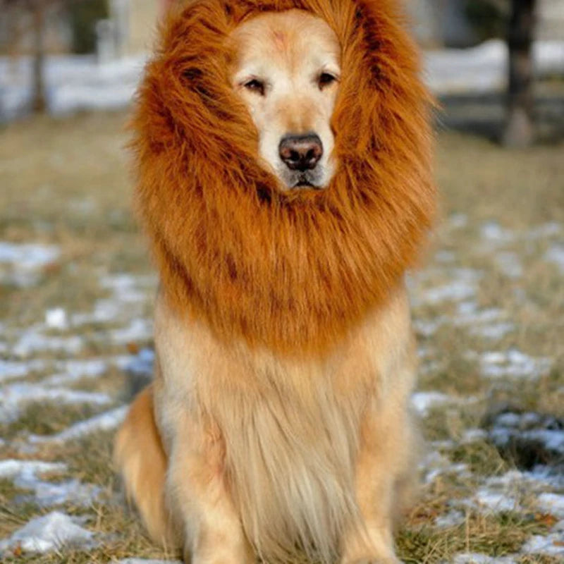 Dog Costume Hat Lion Funny Hilarious Pet Cosplay