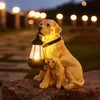 Dog Statue Solar Garden Light Resin