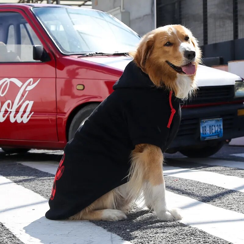 Dog Golden Retriever Hoodie Clothes For Dogs Winter