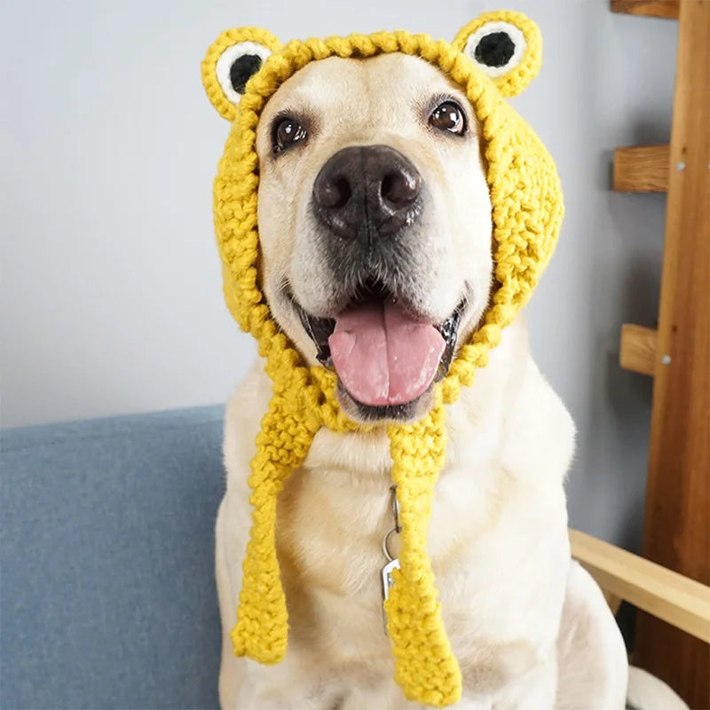 Dog Hat Funny Frog Knitted Costume