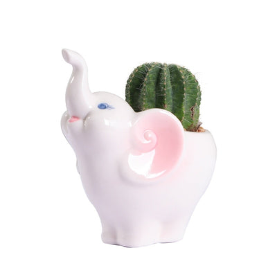 Elephant Ceramic Flowerpot Desktop Potted Ornament