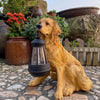 Dog Statue Solar Garden Light Resin