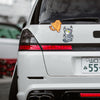 3 Items Funny Pet Cat Car Sticker