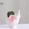 Elephant Ceramic Flowerpot Desktop Potted Ornament