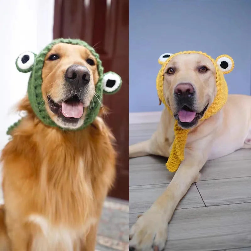 Dog Hat Funny Frog Knitted Costume