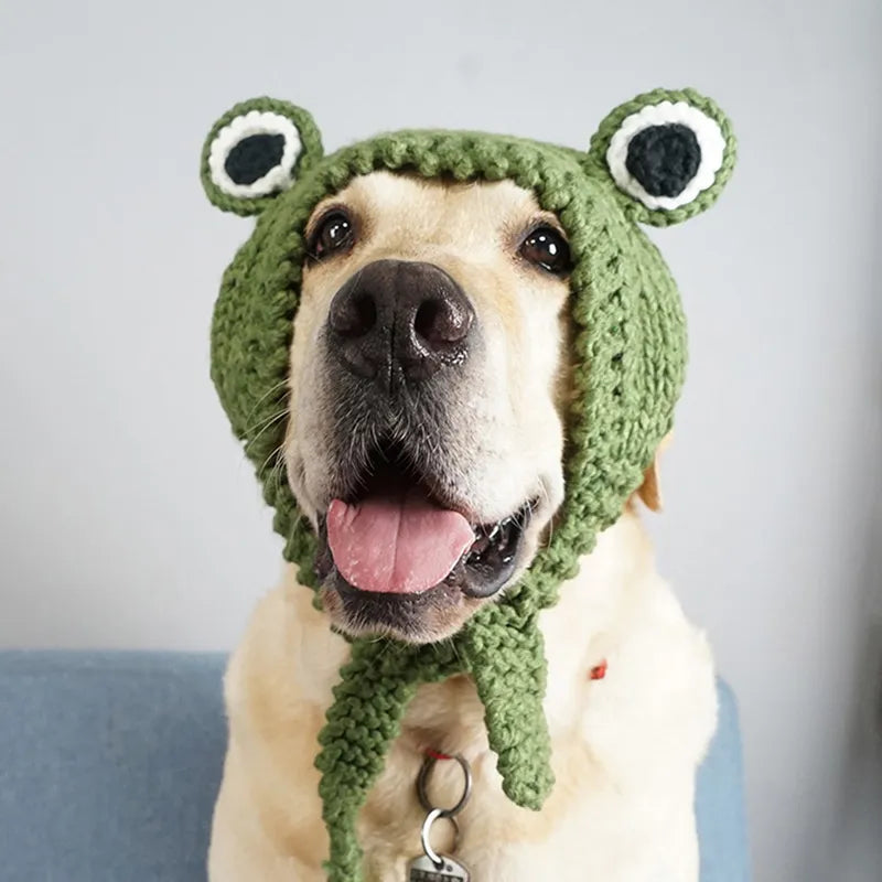 Dog Hat Funny Frog Knitted Costume