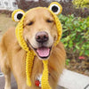 Dog Hat Funny Frog Knitted Costume