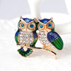 Owl Brooches Scarf Clip Crystal