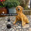 Dog Statue Solar Garden Light Resin