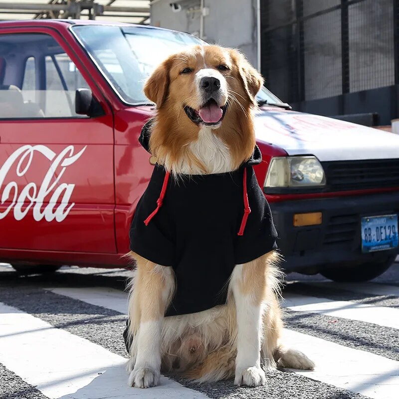 Dog Golden Retriever Hoodie Clothes For Dogs Winter