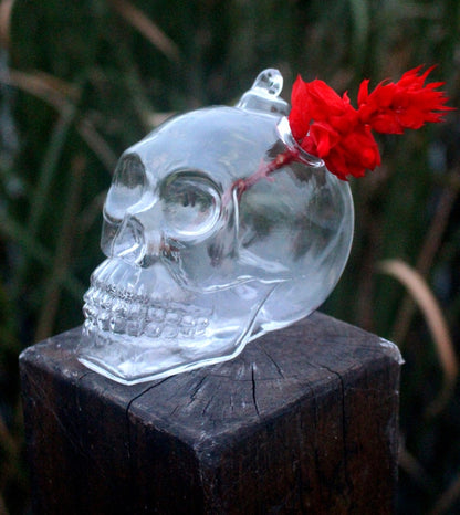 Skull Hanging Outdoor Garden Flower Pots