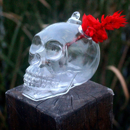 Skull Hanging Outdoor Garden Flower Pots