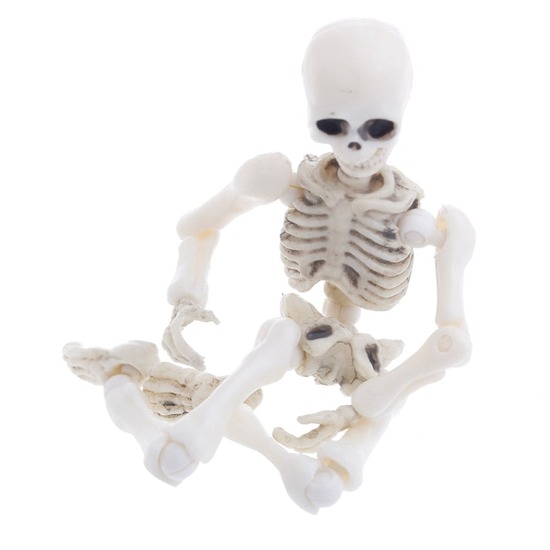 1pc Movable Skull Skeleton