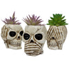 3 Items Skull Planter Pot Resin Skull Head Flower Pot