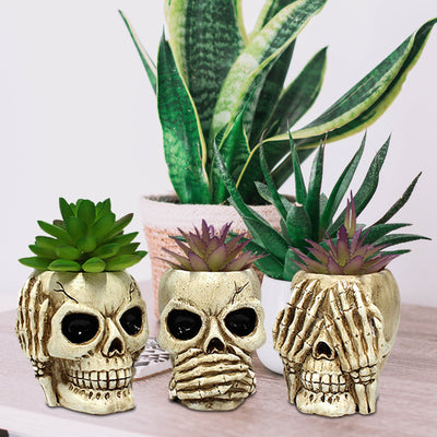 3 Items Skull Planter Pot Resin Skull Head Flower Pot